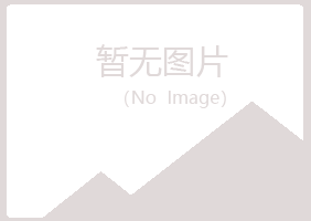 绵竹夏岚材料有限公司